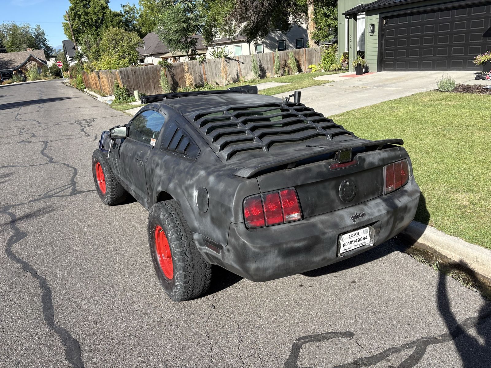 Main image 11