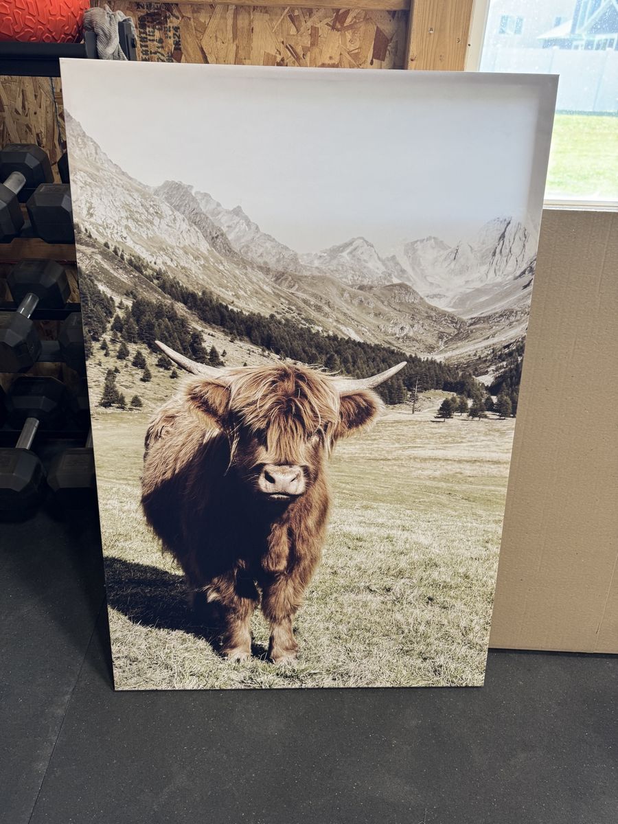 Cow canvas print