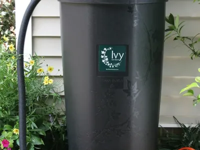 Rain Barrel (50-gallon Ivy)
