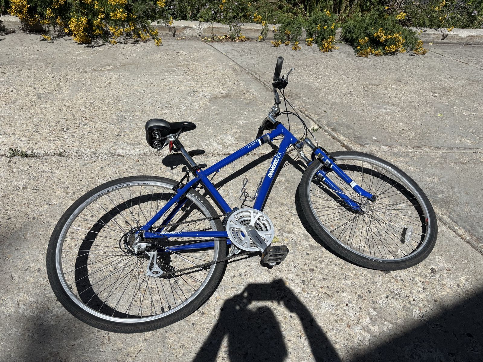 Men’s Medium Bike