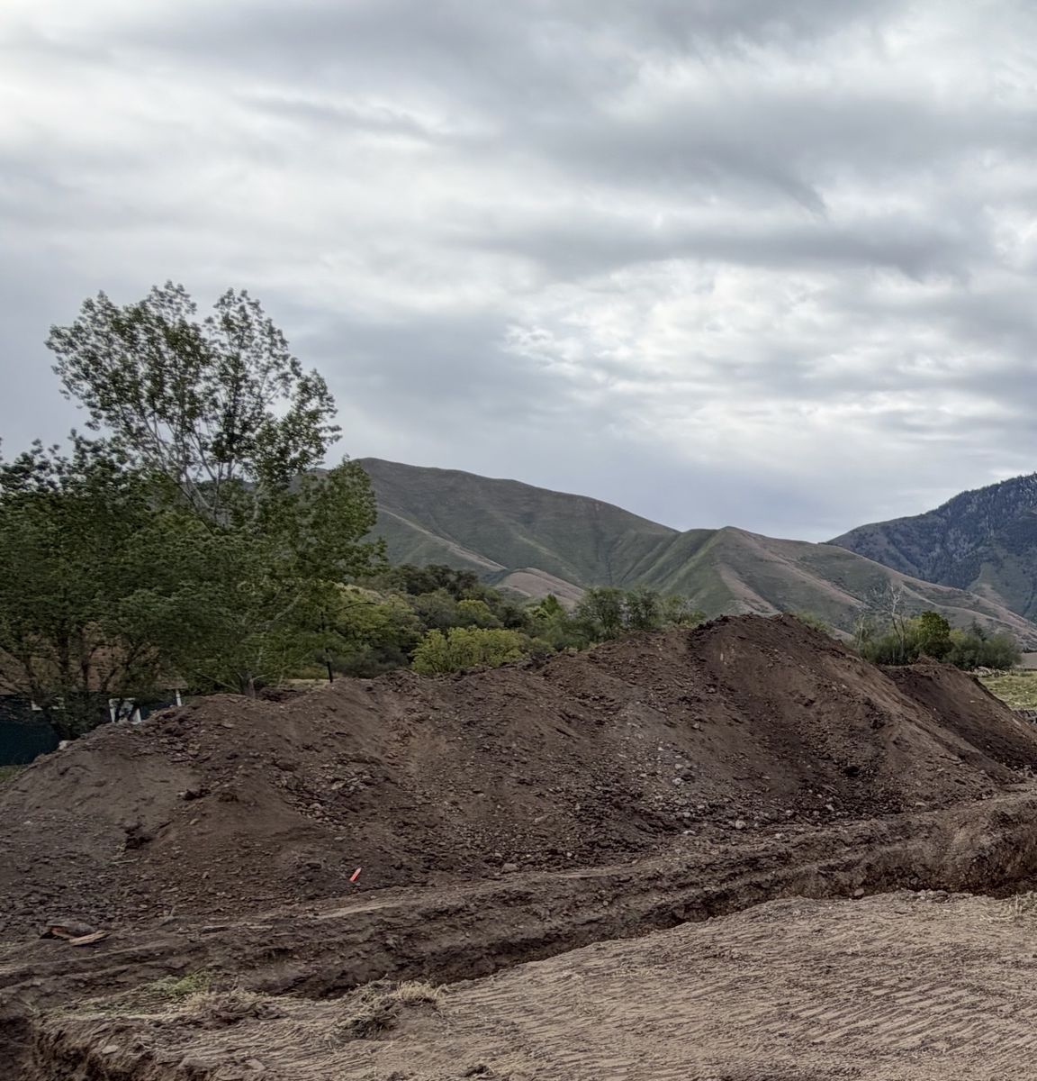 Fill Dirt