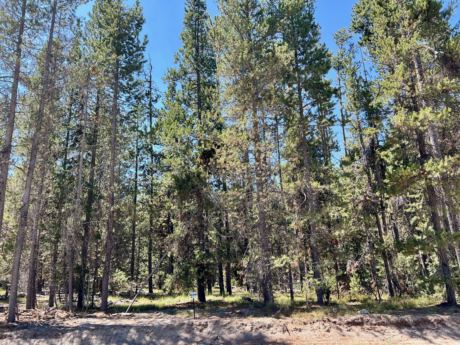 4385 Sasquatch Ave ISLAND PARK, ID 83429