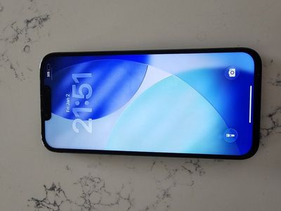 iPhone 13 Pro Max 256 Gig Unlocked