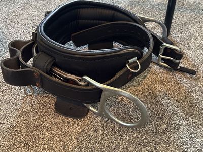 Buckingham Leather Climbing Belt