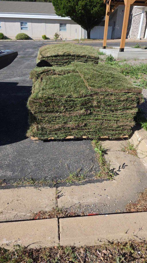 2 pallets fresh drought tolerant sod (1000sf) delivered today for sale (pickup in Fruit Heights)