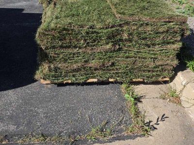2 pallets fresh drought tolerant sod (1000sf) delivered today for sale (pickup in Fruit Heights)