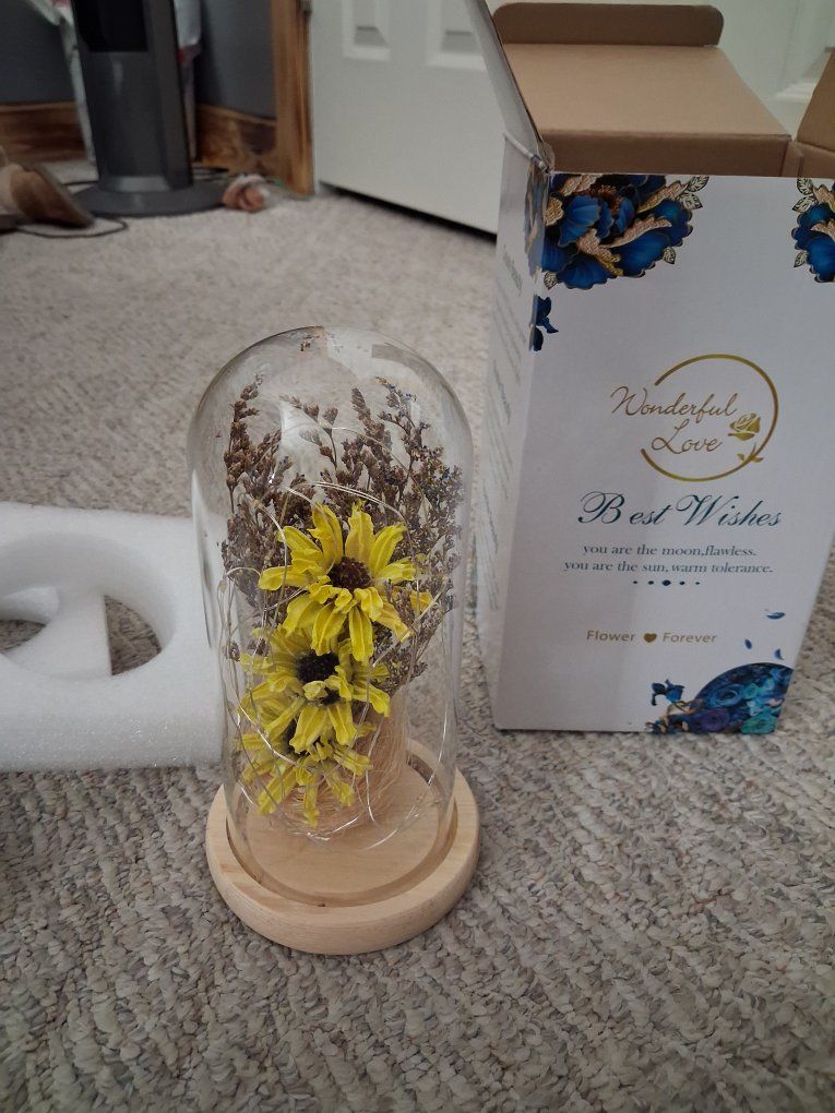 Forever light up sunflower
