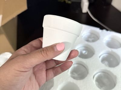 2.5 Inch White Terra Cotta Pots with Drainage Holes (Qty 60)