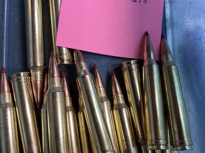 300 Win Mag Ammo.