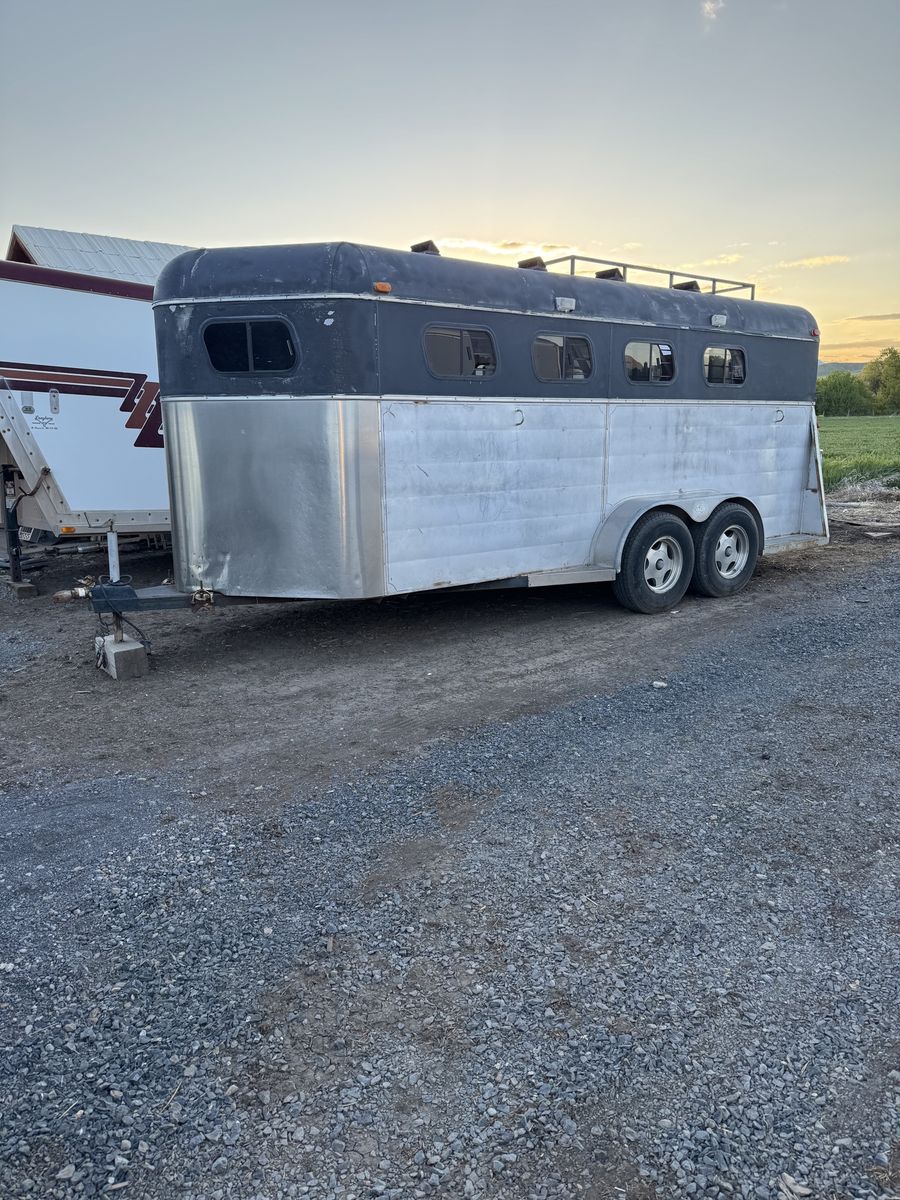 T-j 4 horse
