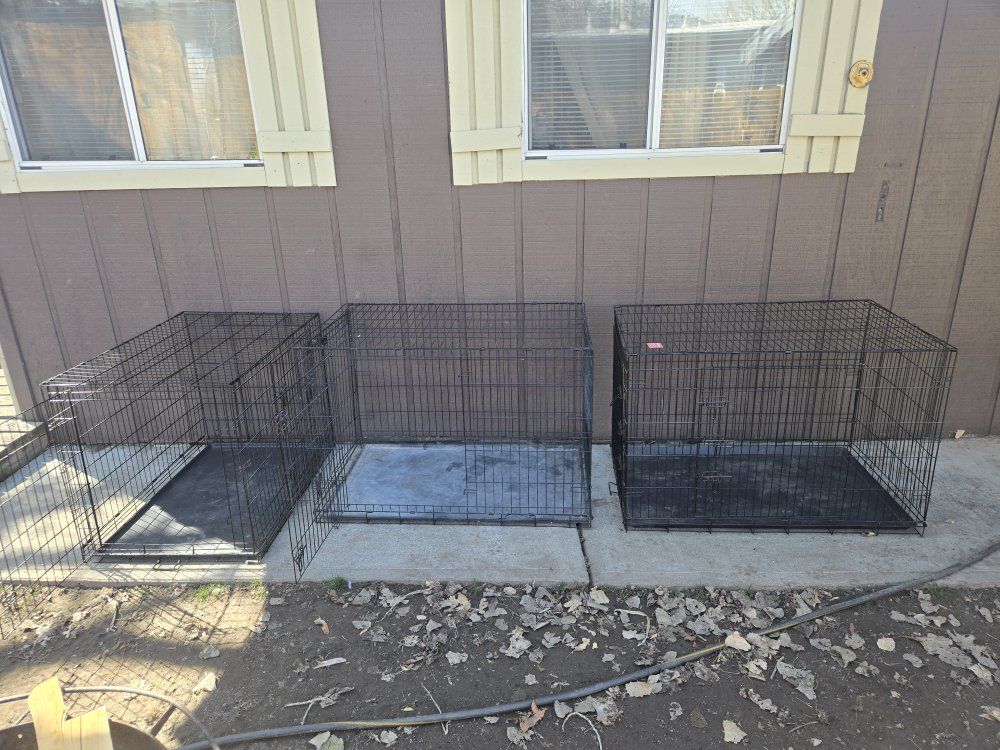 Collapsible Dog Crates