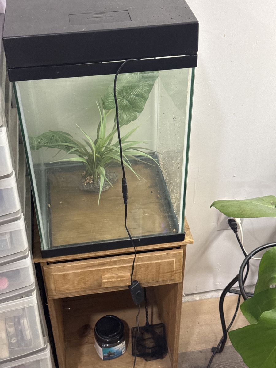 Fish tank