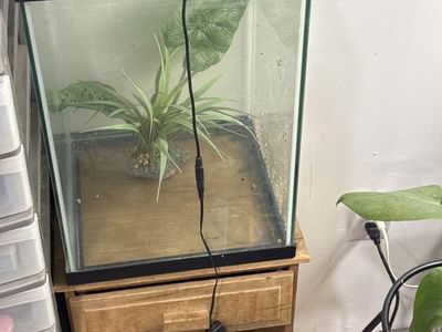 Fish tank