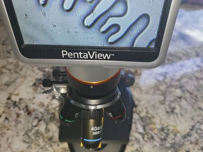 Celestron PentaView LCD Digital Microscope #44348 with Case, SD Cards & Slides