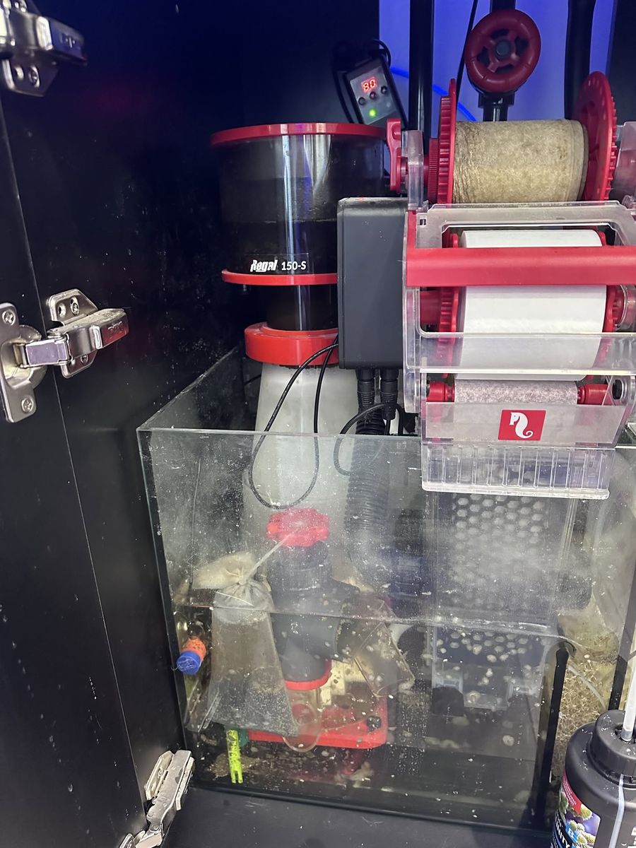 Main image 5
