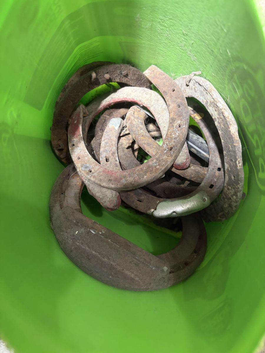 Ten horse shoes