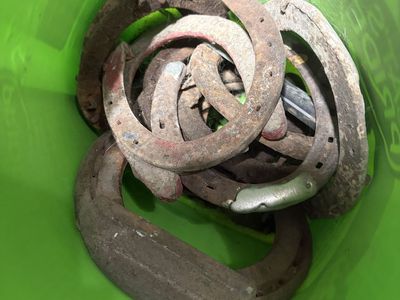 Ten horse shoes