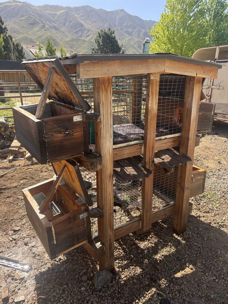 Rabbit Cage