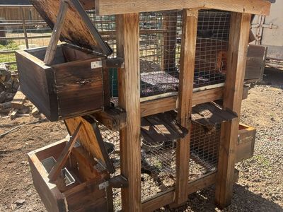 Rabbit Cage