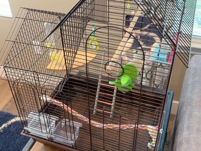 Bird Cage 20x16x30 + Accessories & Carrier.