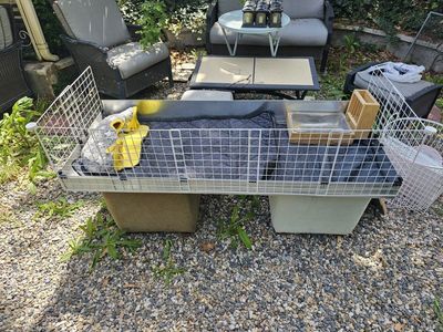 5ft by 2ft Guinea Pig Cage