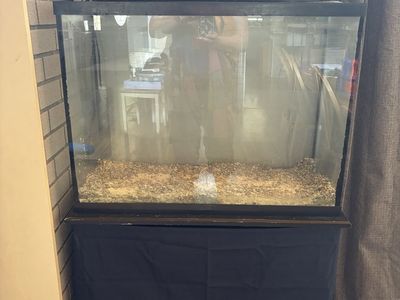 Aquarium. 40 gallon tall. With stand.