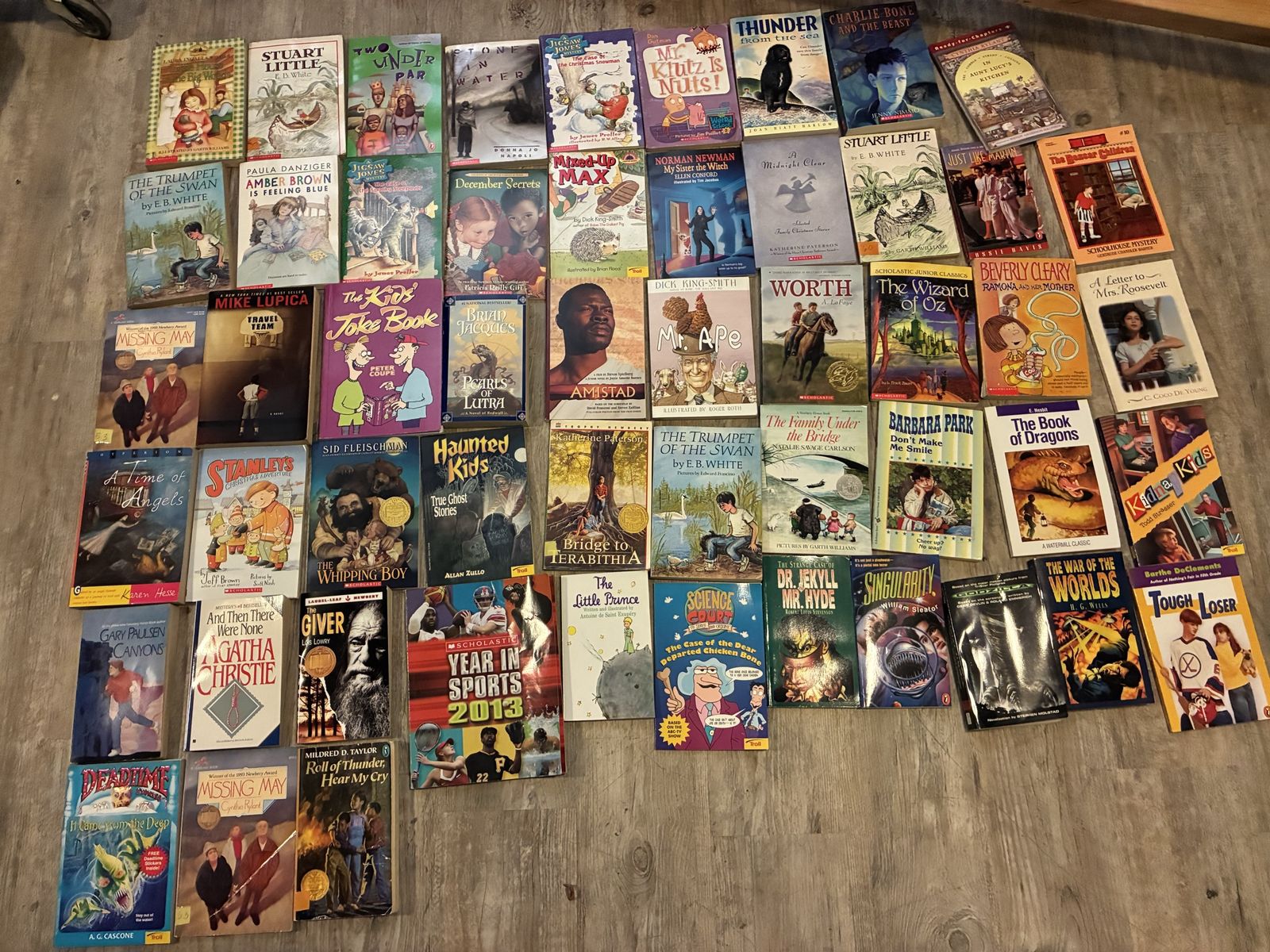 Lot of over 50 books, great for 4th, 5th and 6th graders, teachers, grandparents, parents, home schoolers , excellent shape