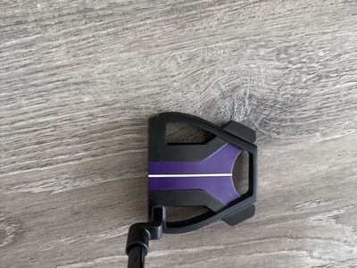 Customized Taylormade spider tour x 34 inches.