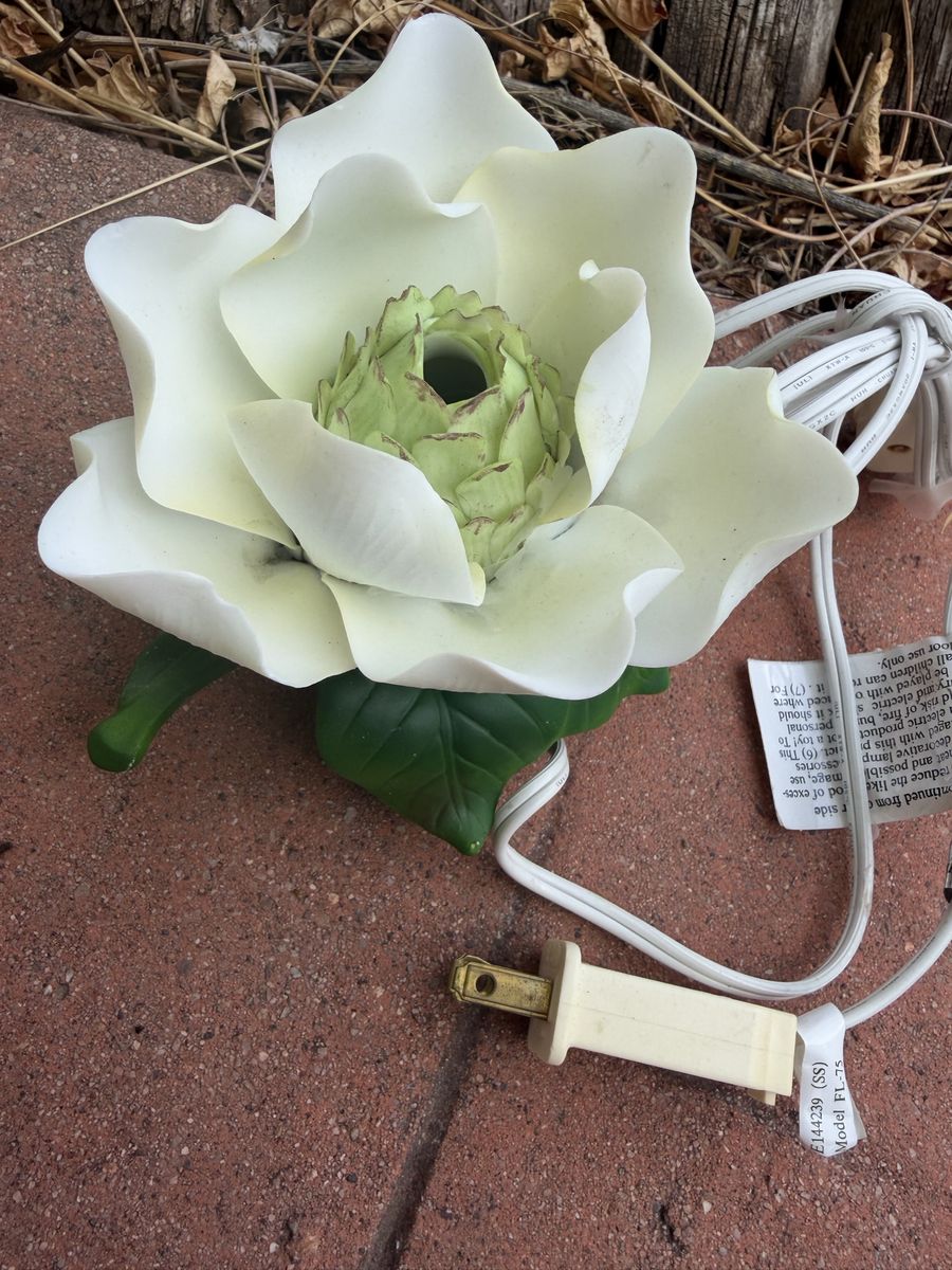 Main image 2