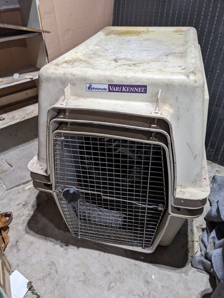 extra large dog kennel