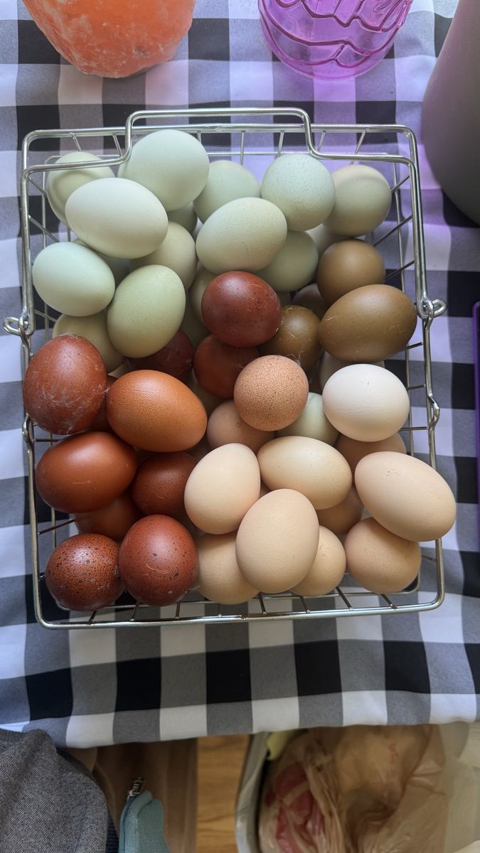 Hatching Eggs