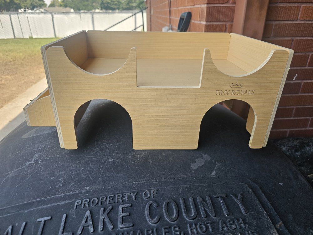 Guinea Pig Hide