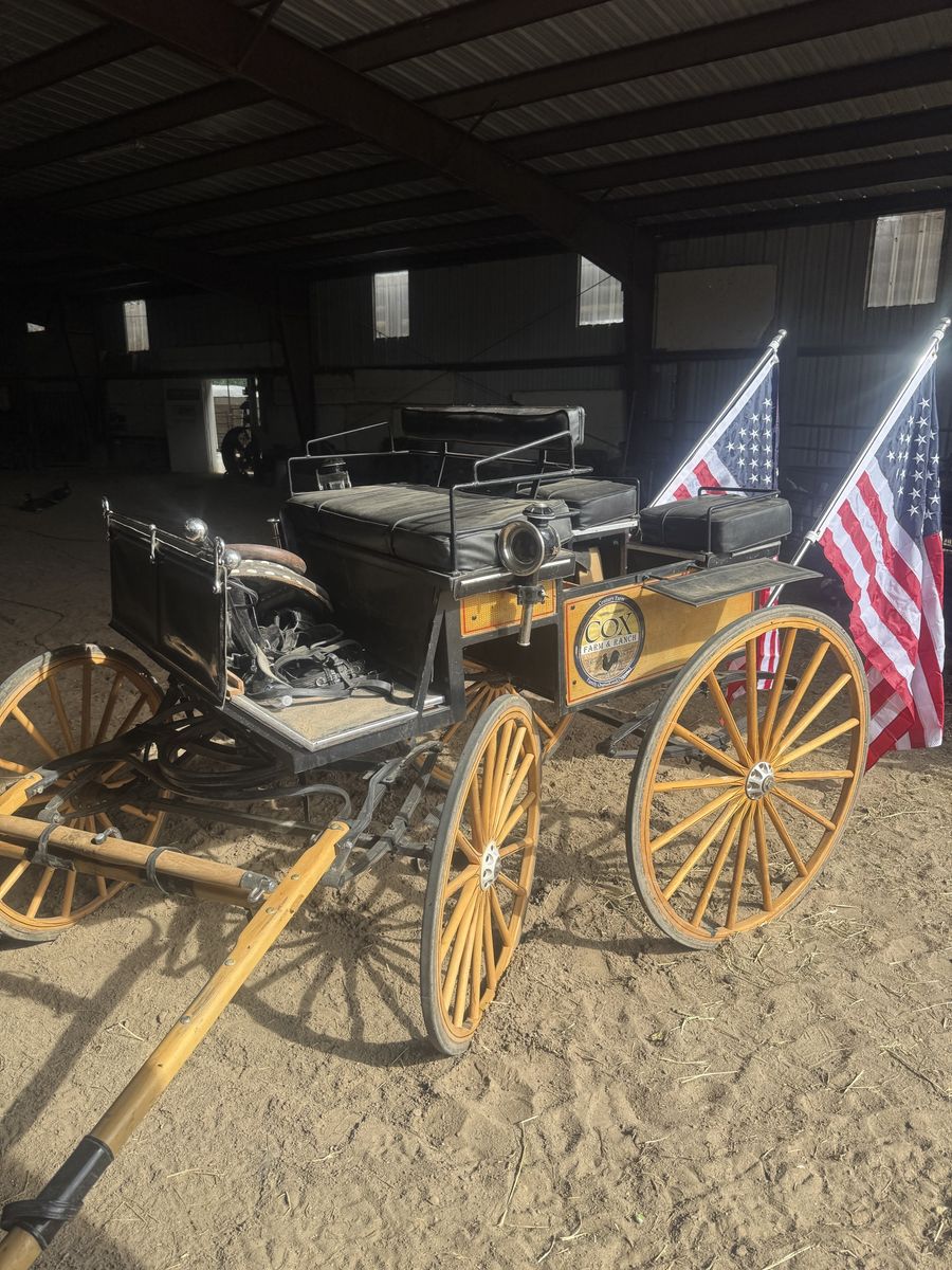 Horse Drawn wagon with Wooden Wheels and Flags - Excellent Condition