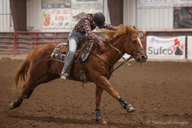 Barrel/Pole Horse, Been There, Done That