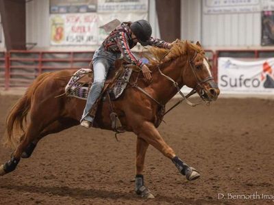 Barrel/Pole Horse, Been There, Done That