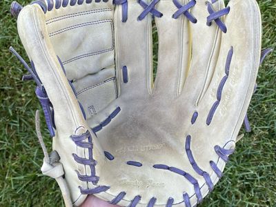 Pro 44 12 in baseball Glove