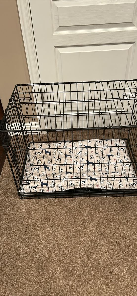 Collapsible Metal Wire Dog Crate with Dog Print Cushion Bed