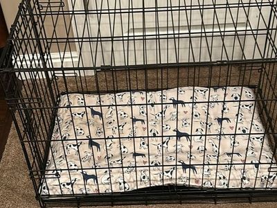 Collapsible Metal Wire Dog Crate with Dog Print Cushion Bed