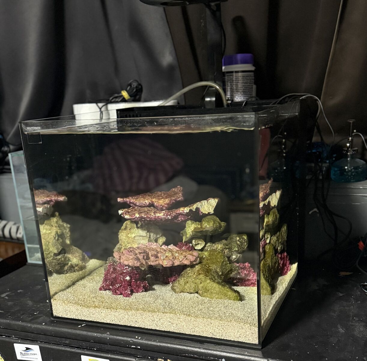 Waterbox 20 gallon cube Nano Reef tank