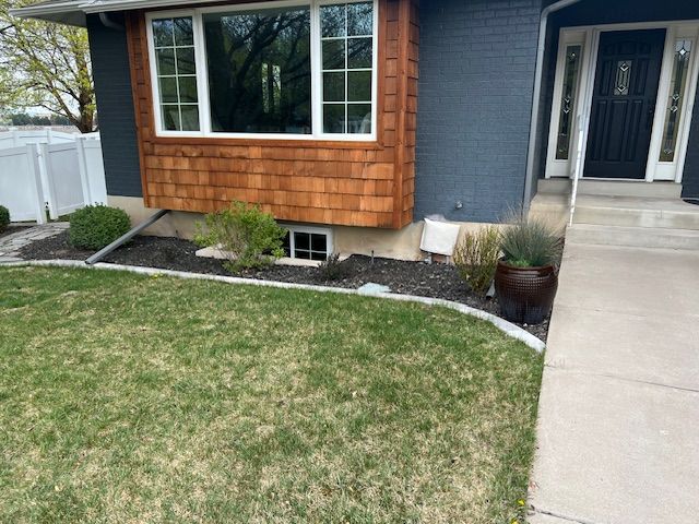 Free mature landscaping shrubs
