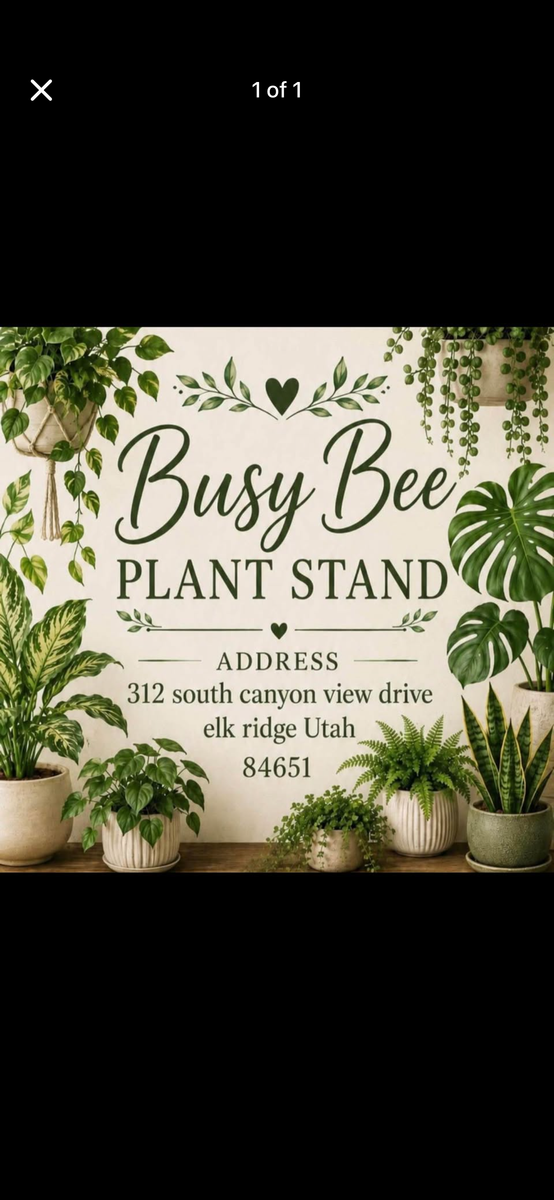 Take one leave one free plant stand