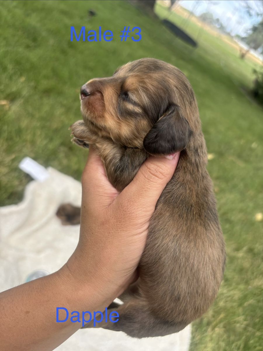 Main image 11