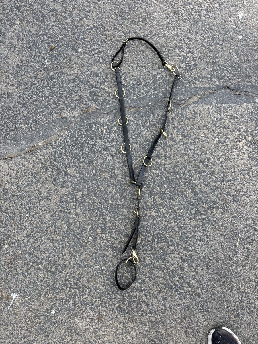 Horse Martingale