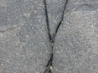 Horse Martingale