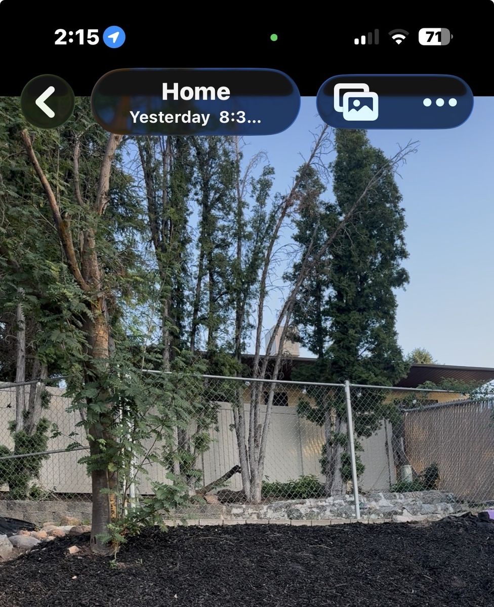 65–70’ Chain-Link Fence Complete w/ Gate – $500 OBO