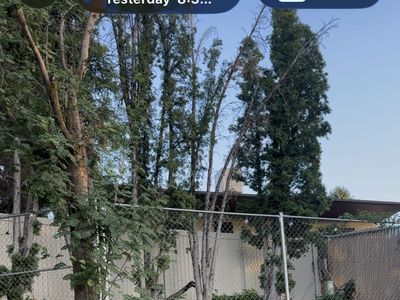65–70’ Chain-Link Fence Complete w/ Gate – $500 OBO