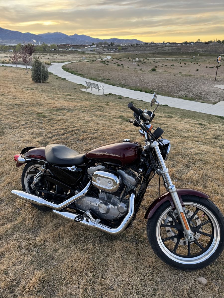 2014 Harley Davidson sportster 883 xl superlow