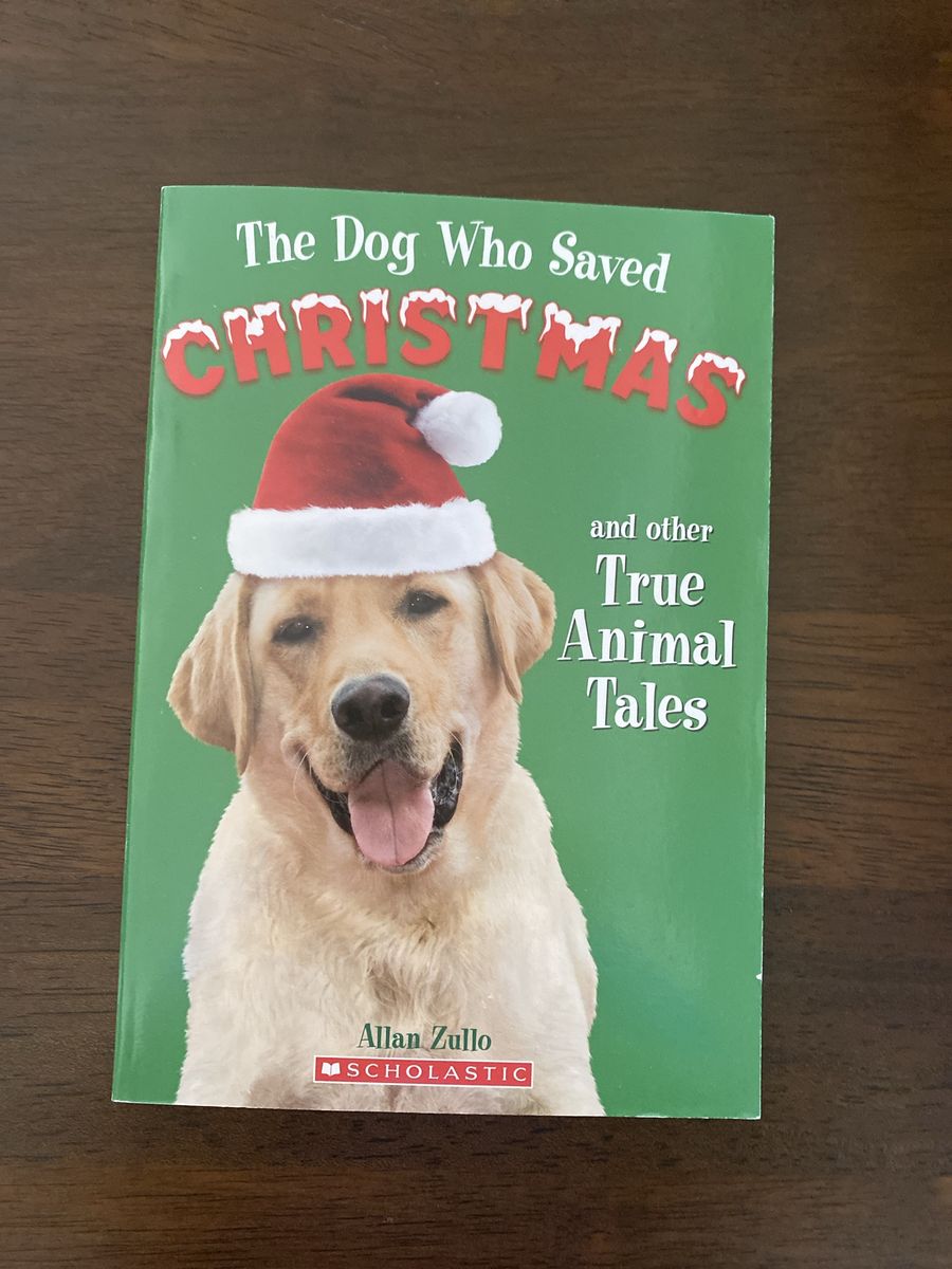 The Dog Who Saved Christmas 