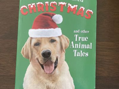 The Dog Who Saved Christmas
