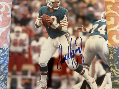 Dan Marino Miami Dolphins Autograph NFL Football 8x10 Photograph Hand Signed Auto HOF